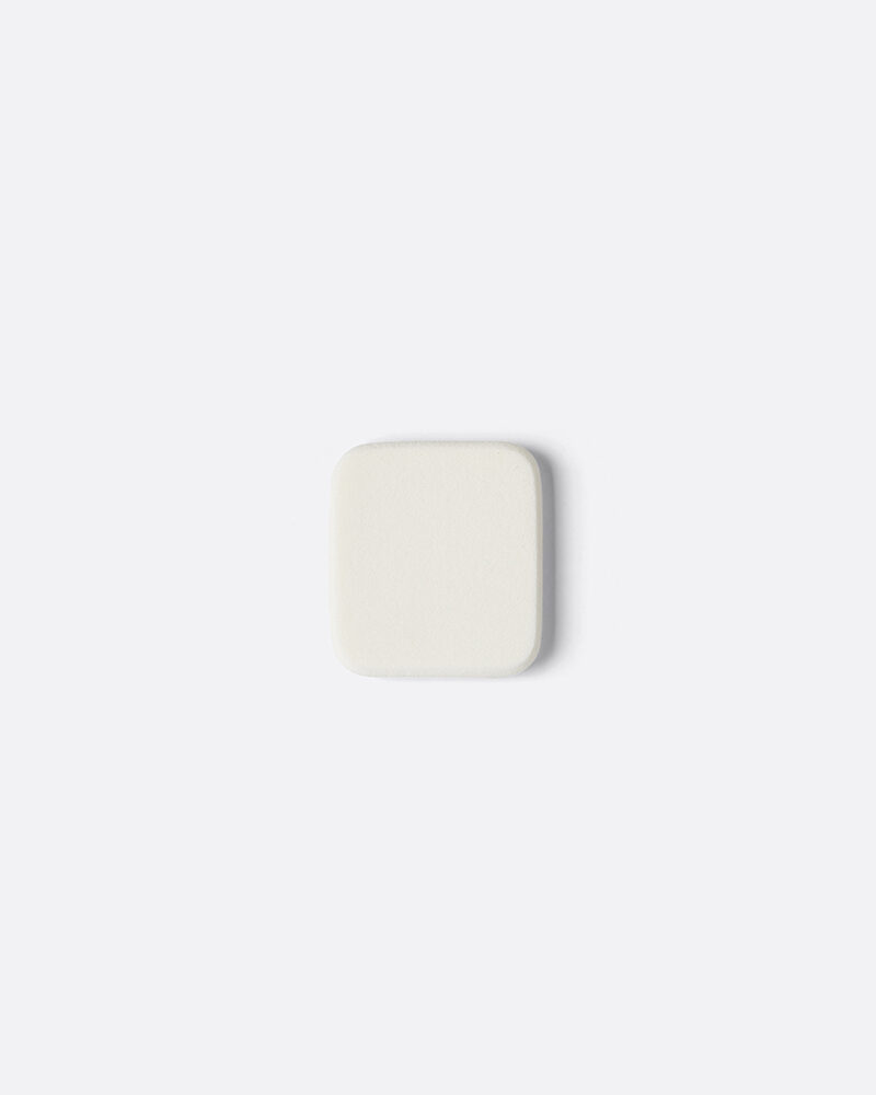 Foundation Sponge