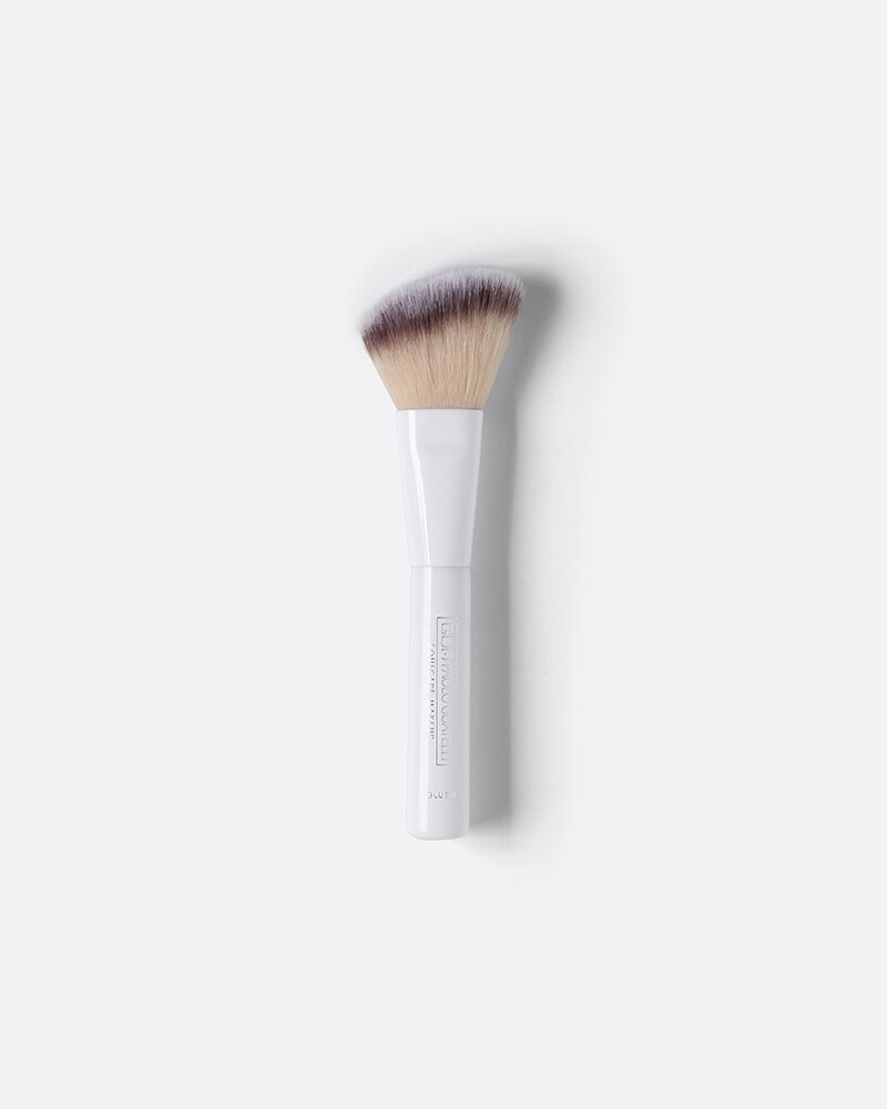 Professional Brush Blusher