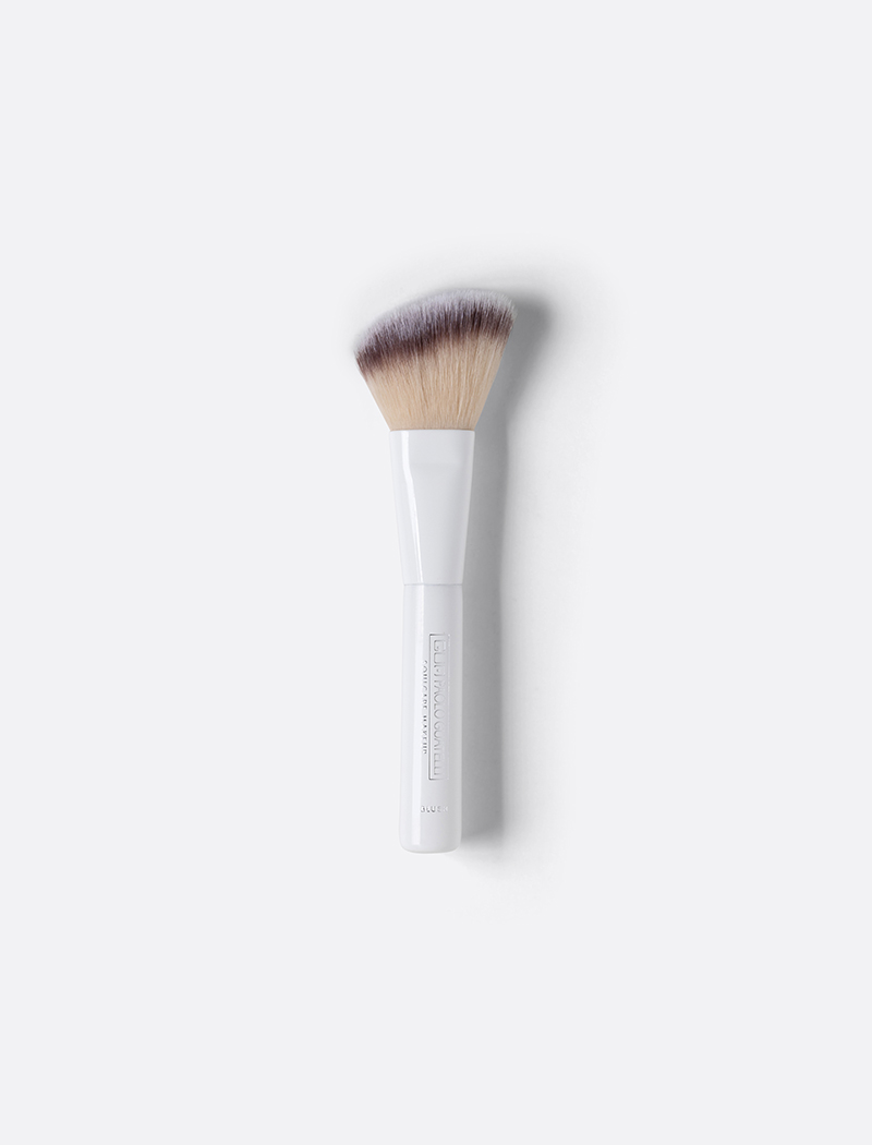 PR754_PROFESSIONAL BRUSH BLUSHER_1